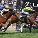 the lexus stakes bet on